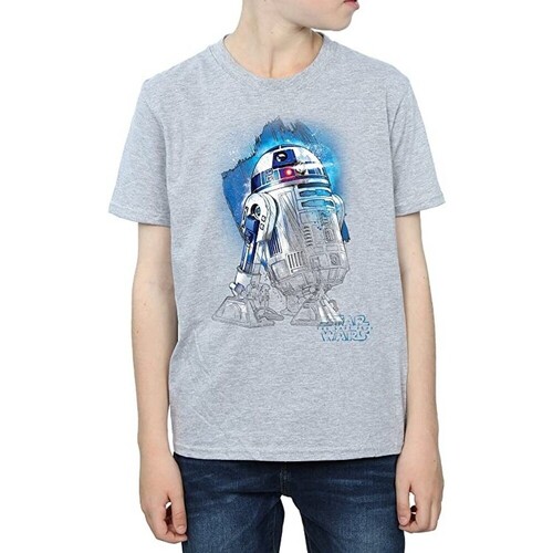 textil Niño Camisetas manga corta Star Wars: The Last Jedi BI1372 Gris