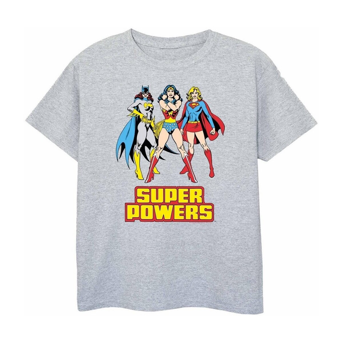 textil Niña Camisetas manga larga Dessins Animés Super Power Gris