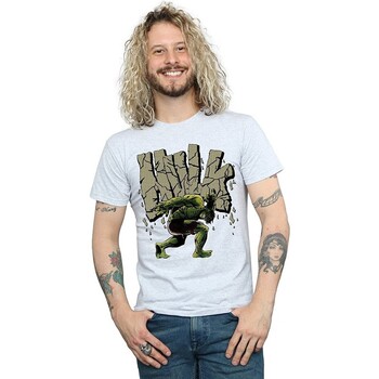 textil Hombre Camisetas manga larga Hulk BI1388 Gris