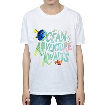 textil Niño Camisetas manga corta Finding Dory Ocean Adventure Blanco