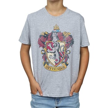 textil Niño Camisetas manga corta Harry Potter BI1423 Gris