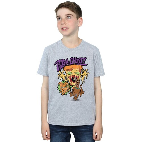 textil Niño Camisetas manga corta Scooby Doo Pizza Ghost Gris