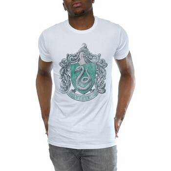textil Hombre Camisetas manga larga Harry Potter BI1617 Gris