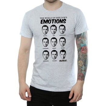 textil Hombre Camisetas manga larga The Big Bang Theory BI1654 Gris