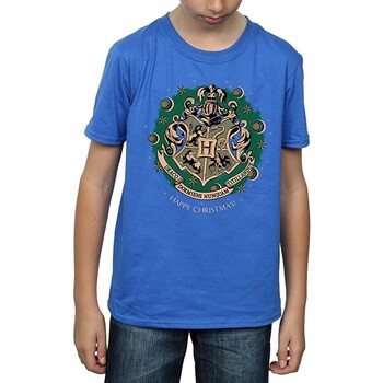 textil Niño Camisetas manga larga Harry Potter BI1681 Azul