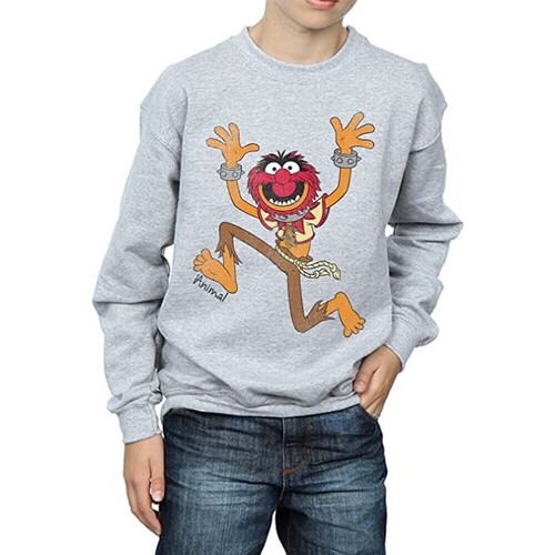 textil Niño Sudaderas The Muppets Classic Gris