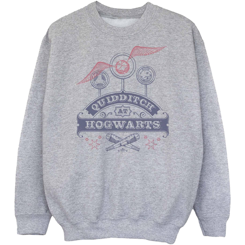 textil Niña Sudaderas Harry Potter Quidditch At Hogwarts Gris
