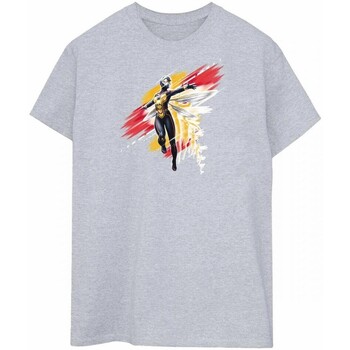 textil Hombre Camisetas manga larga Ant-Man And The Wasp Hope Gris