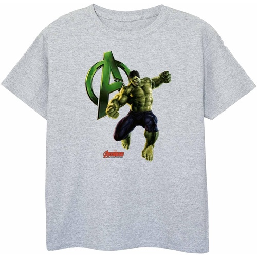 textil Niño Camisetas manga corta Hulk BI453 Gris