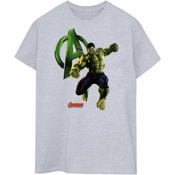 textil Hombre Camisetas manga larga Hulk BI454 Gris