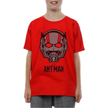 textil Niño Camisetas manga corta Ant-Man  Rojo