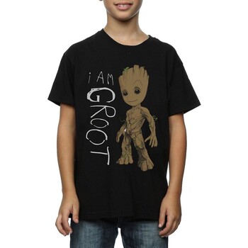 textil Niño Camisetas manga corta Guardians Of The Galaxy I Am Groot Negro