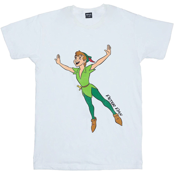 textil Niño Camisetas manga corta Peter Pan Classic Flying Blanco