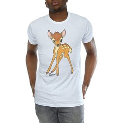 textil Hombre Camisetas manga larga Bambi BI868 Blanco