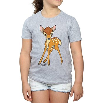 textil Niña Camisetas manga larga Bambi BI889 Gris