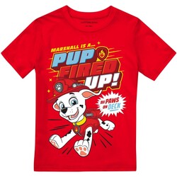 textil Niño Camisetas manga larga Paw Patrol Pup Fired Up Rojo