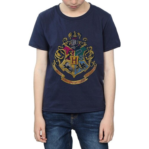 textil Niño Camisetas manga corta Harry Potter BI1128 Azul