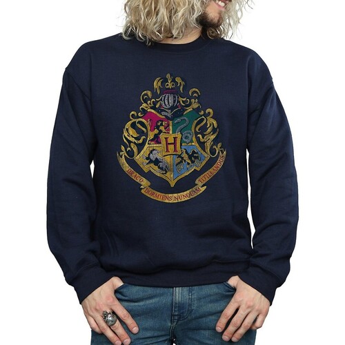 textil Hombre Sudaderas Harry Potter BI1135 Azul