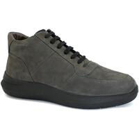 Zapatos Hombre Botas de caña baja Stonefly STO-I23-218655-MG Gris