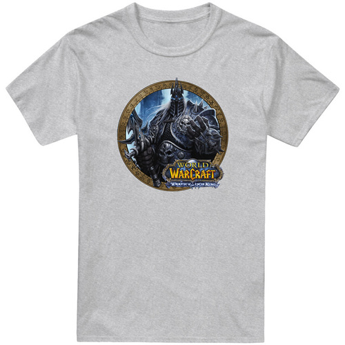 textil Hombre Camisetas manga larga World Of Warcraft Wrath Gris