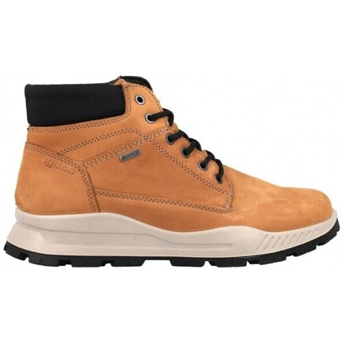 Zapatos Hombre Botas IgI&CO Botín Gore-Tex Hombre de  46284 Amarillo