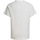 textil Niños Camisetas manga corta adidas Originals G M Sum Tee Blanco