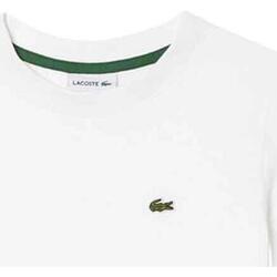 textil Niño Tops y Camisetas Lacoste TEE-SHIRT TJ1122 Blanco