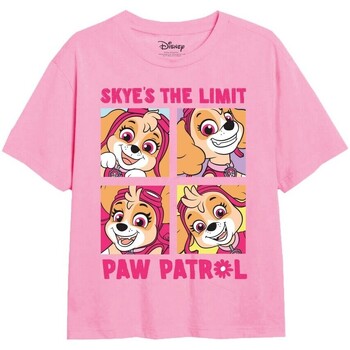 Paw Patrol Skye's The Limit Rojo