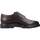 Zapatos Hombre Derbie & Richelieu Stonefly FOREVER 2 CALF LTH Marrón