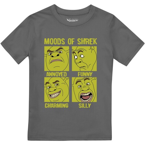 textil Niño Camisetas manga larga Shrek Moods Of Multicolor