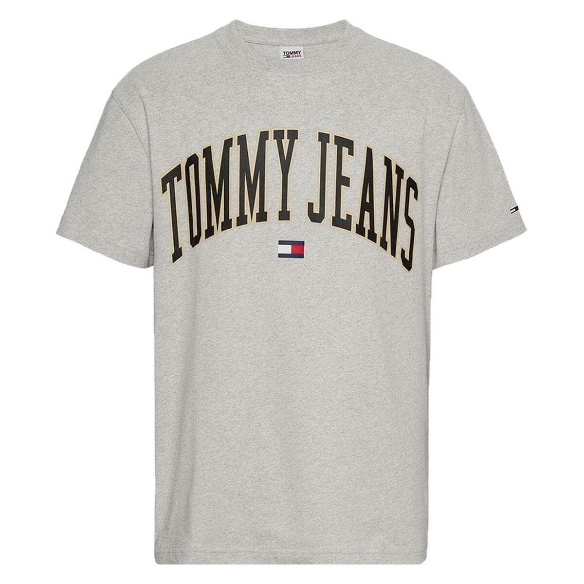 textil Hombre Camisetas manga corta Tommy Jeans DM0DM17730 Gris