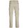 textil Hombre Pantalones Jack & Jones 12224001 SPSTOLLIE JJBROWIE CARGO-BEIGE Beige