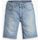 textil Hombre Shorts / Bermudas Levi's 39864 0108 - 405 STANDARS SHORT-MY HOME IS COOL SHORT Azul