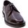 Zapatos Hombre Derbie & Richelieu Antica Cuoieria All.bassa Derby Uomo Testa di moro 13207-092 Marrón