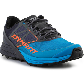 Zapatos Hombre Running / trail Dynafit Alpine 64064-0752 Magnet/Frost Multicolor