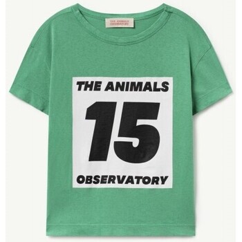 textil Niños Tops y Camisetas The Animals Observatory S22001_AZ Verde