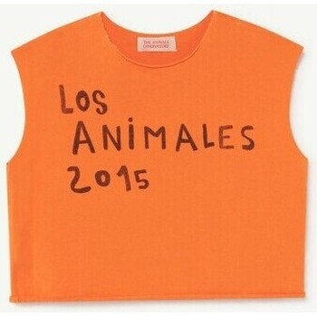 textil Niños Tops y Camisetas The Animals Observatory S22012 Naranja