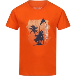 textil Niños Camisetas manga corta Regatta Bosley VI Naranja
