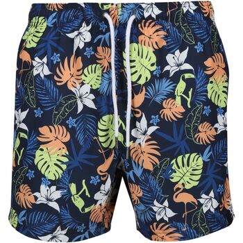textil Hombre Shorts / Bermudas Regatta Loras Azul