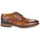 Zapatos Hombre Derbie Redskins VERSATIL Cognac / Marino