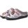 Zapatos Mujer Derbie & Richelieu Plumaflex By Roal Zapatillas de Casa Roal Perro Chica 12213 Taupe Marrón