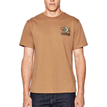 textil Hombre Tops y Camisetas Converse  Marrón