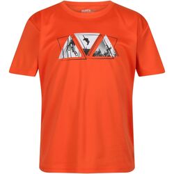 textil Niños Tops y Camisetas Regatta Alvarado VII Naranja