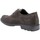 Zapatos Hombre Derbie & Richelieu IgI&CO 4602522 Marrón