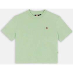 textil Mujer Camisas Dickies OAKPORT BOXY TEE SS W Verde