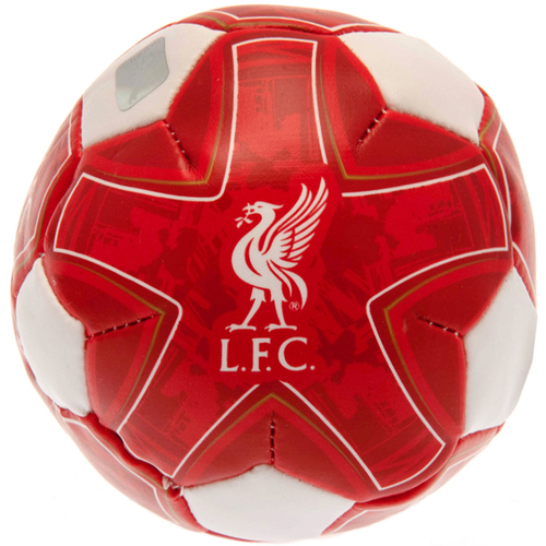 Accesorios Complemento para deporte Liverpool Fc BS3308 Rojo