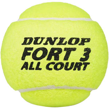Dunlop Fort All Court Multicolor