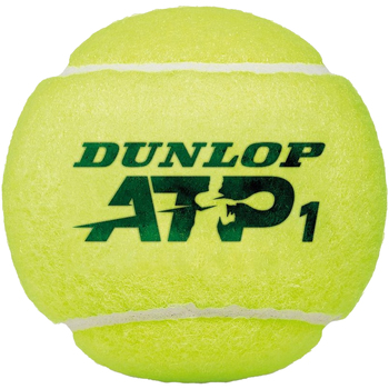Accesorios Complemento para deporte Dunlop ATP Negro