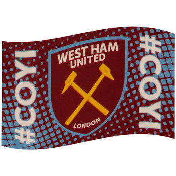 Accesorios Complemento para deporte West Ham United Fc COYI Multicolor