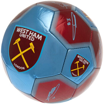 Accesorios Complemento para deporte West Ham United Fc COYI Multicolor